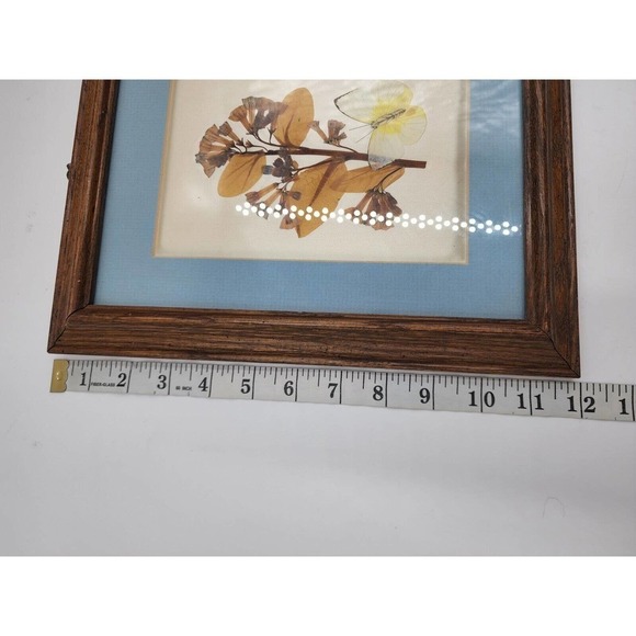 Vintage Pressed Flower Pictures By Elsie Kraft for Belart/Nature Incentives USA - Picture 5 of 11